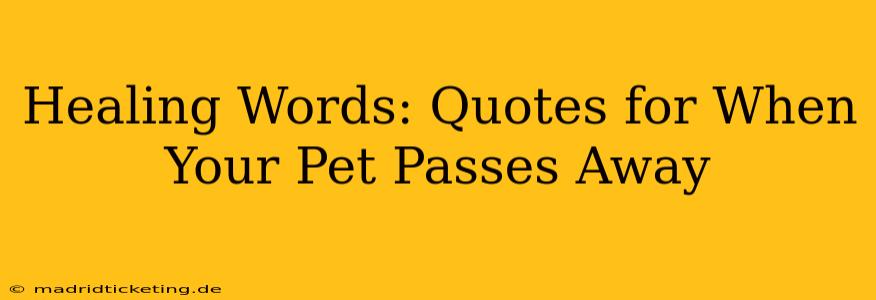Healing Words: Quotes for When Your Pet Passes Away