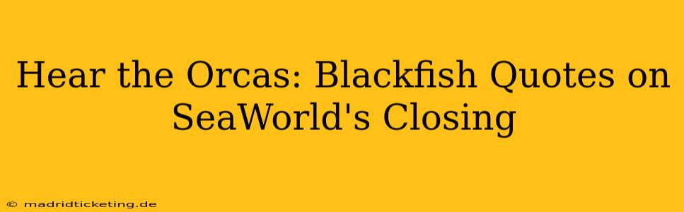 Hear the Orcas: Blackfish Quotes on SeaWorld's Closing