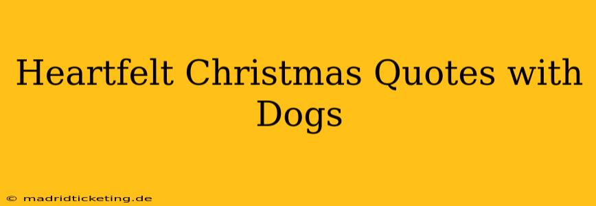 Heartfelt Christmas Quotes with Dogs