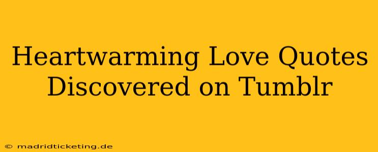 Heartwarming Love Quotes Discovered on Tumblr