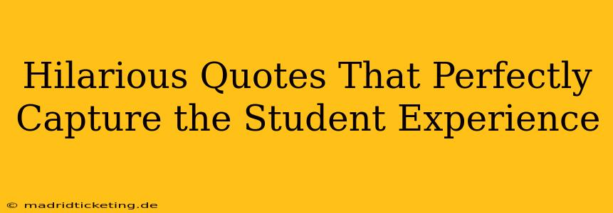 Hilarious Quotes That Perfectly Capture the Student Experience