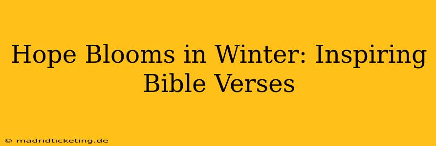 Hope Blooms in Winter: Inspiring Bible Verses