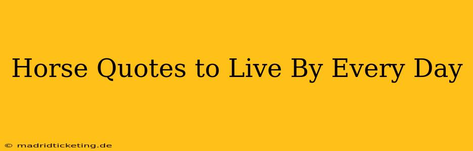 Horse Quotes to Live By Every Day