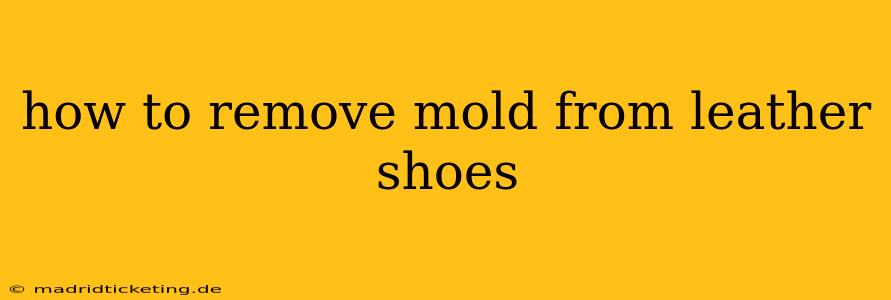 how to remove mold from leather shoes