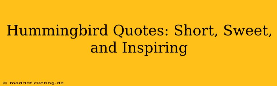 Hummingbird Quotes: Short, Sweet, and Inspiring