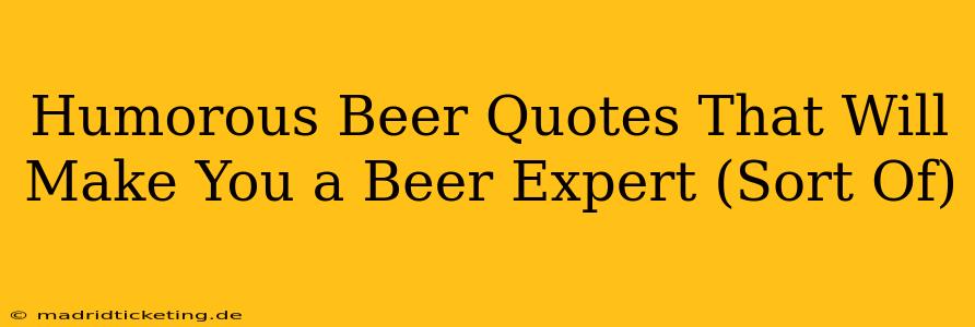 Humorous Beer Quotes That Will Make You a Beer Expert (Sort Of)