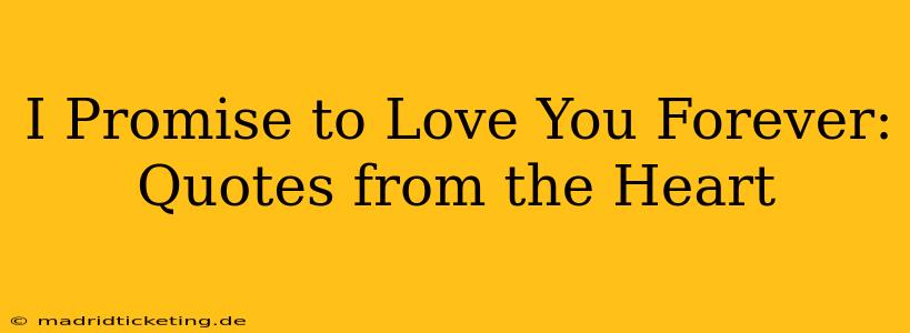 I Promise to Love You Forever: Quotes from the Heart