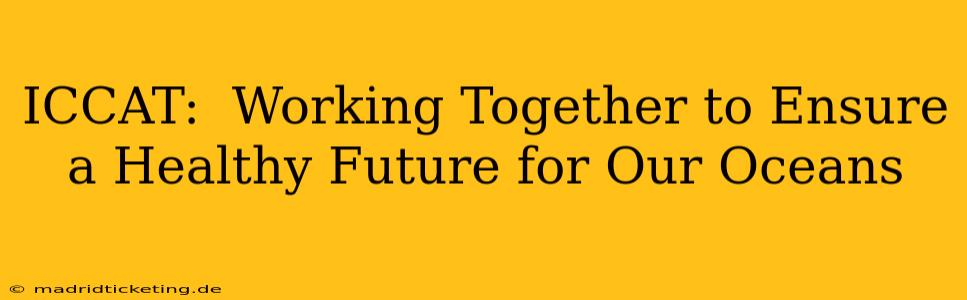 ICCAT:  Working Together to Ensure a Healthy Future for Our Oceans