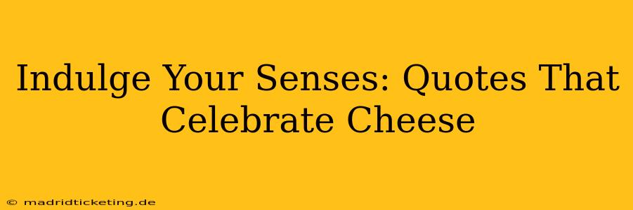 Indulge Your Senses: Quotes That Celebrate Cheese