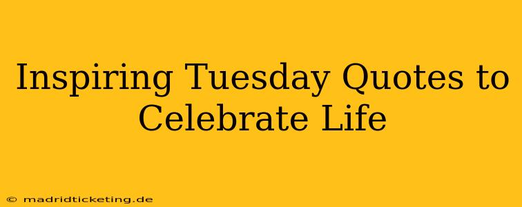 Inspiring Tuesday Quotes to Celebrate Life