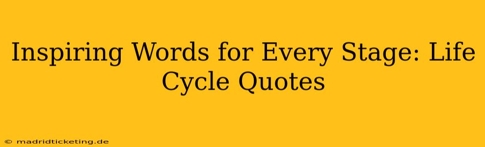 Inspiring Words for Every Stage: Life Cycle Quotes