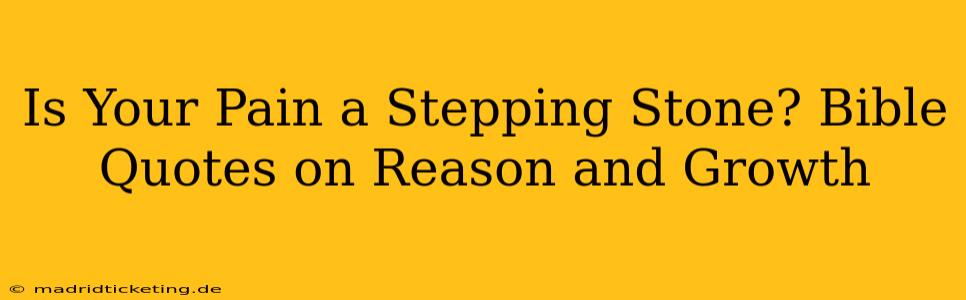 Is Your Pain a Stepping Stone? Bible Quotes on Reason and Growth
