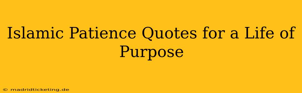 Islamic Patience Quotes for a Life of Purpose
