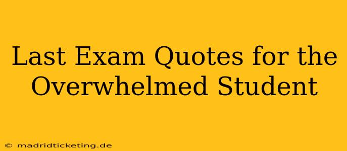 Last Exam Quotes for the Overwhelmed Student