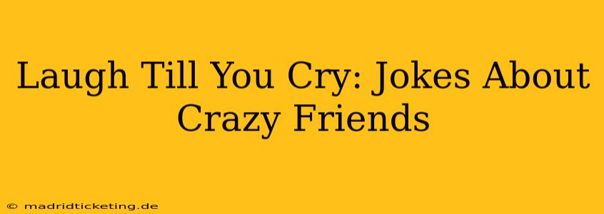Laugh Till You Cry: Jokes About Crazy Friends