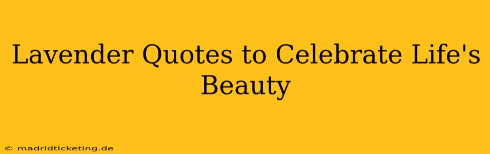 Lavender Quotes to Celebrate Life's Beauty