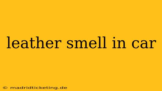 leather smell in car