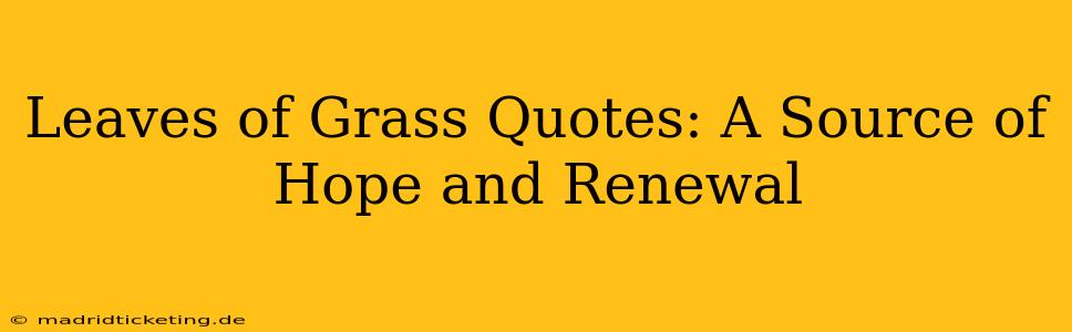 Leaves of Grass Quotes: A Source of Hope and Renewal