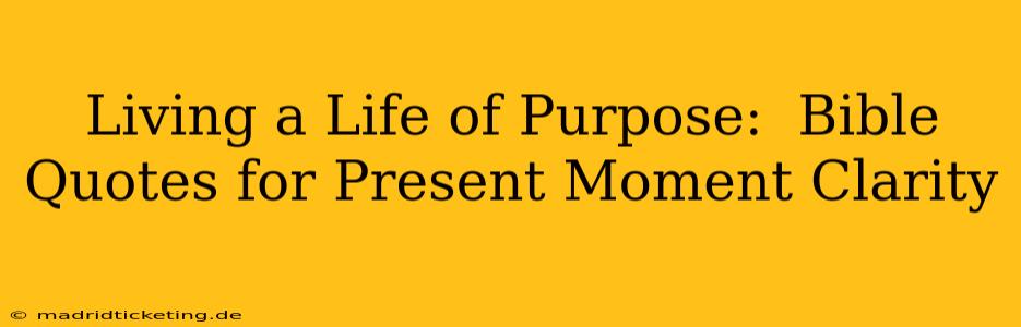 Living a Life of Purpose:  Bible Quotes for Present Moment Clarity