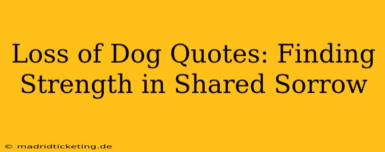 Loss of Dog Quotes: Finding Strength in Shared Sorrow