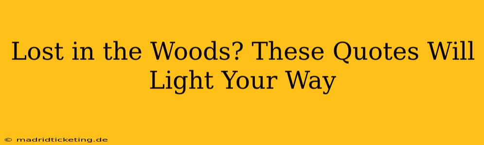 Lost in the Woods? These Quotes Will Light Your Way