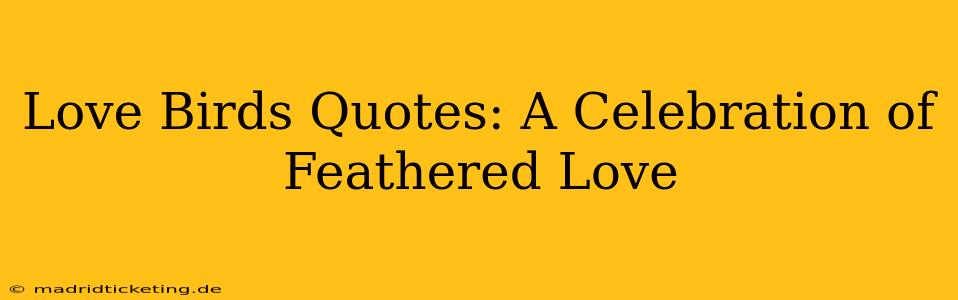 Love Birds Quotes: A Celebration of Feathered Love