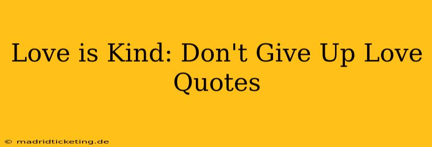 Love is Kind: Don't Give Up Love Quotes