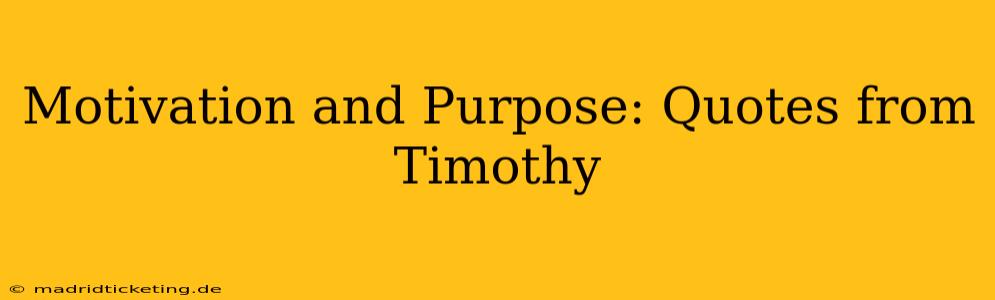 Motivation and Purpose: Quotes from Timothy