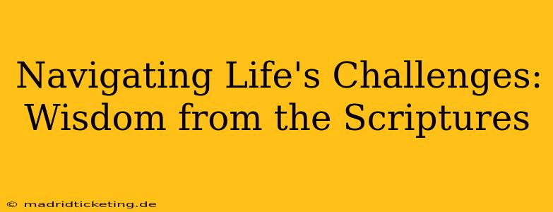 Navigating Life's Challenges: Wisdom from the Scriptures