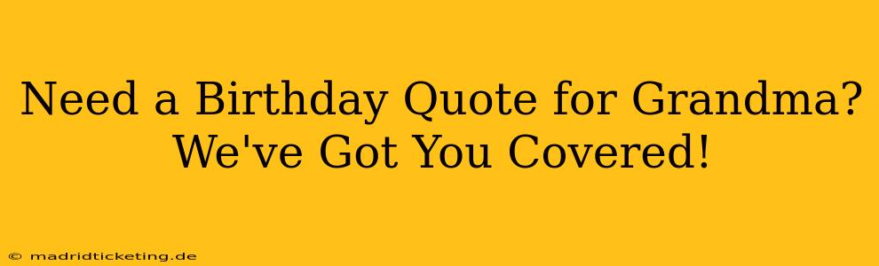 Need a Birthday Quote for Grandma? We've Got You Covered!