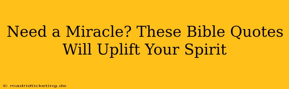 Need a Miracle? These Bible Quotes Will Uplift Your Spirit