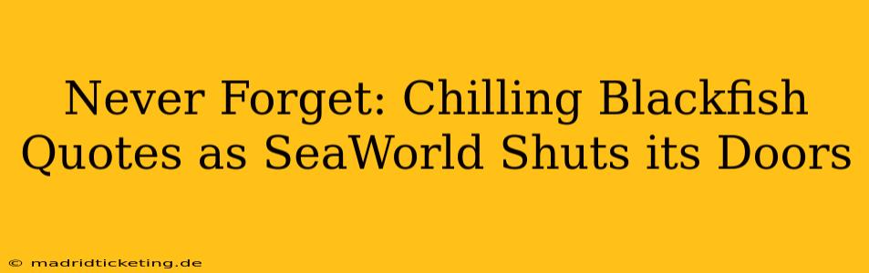 Never Forget: Chilling Blackfish Quotes as SeaWorld Shuts its Doors