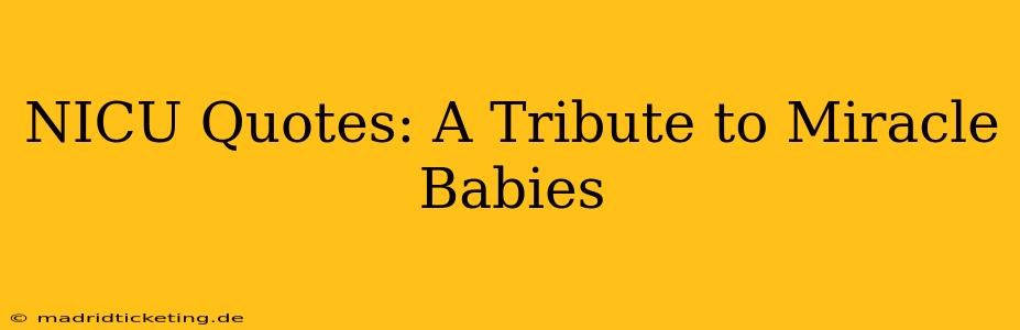 NICU Quotes: A Tribute to Miracle Babies