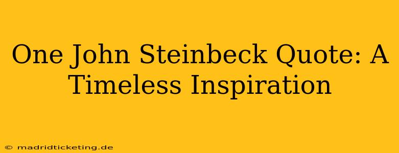 One John Steinbeck Quote: A Timeless Inspiration