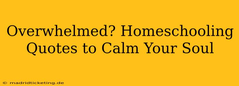 Overwhelmed? Homeschooling Quotes to Calm Your Soul