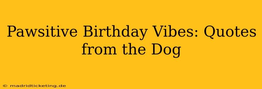 Pawsitive Birthday Vibes: Quotes from the Dog