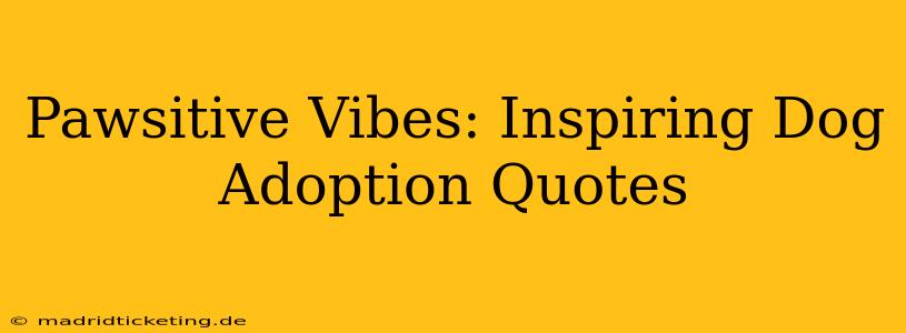Pawsitive Vibes: Inspiring Dog Adoption Quotes
