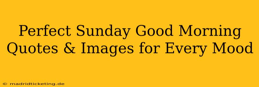 Perfect Sunday Good Morning Quotes & Images for Every Mood