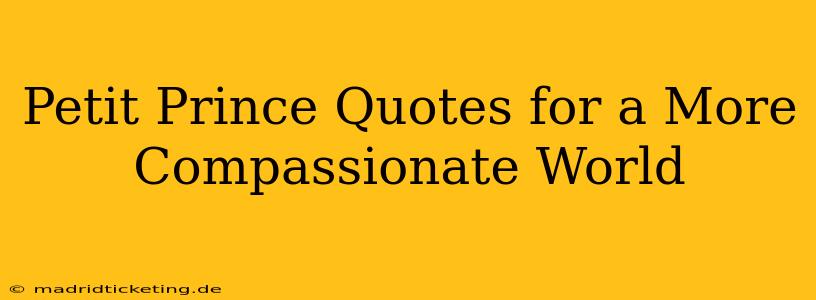 Petit Prince Quotes for a More Compassionate World
