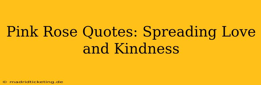 Pink Rose Quotes: Spreading Love and Kindness