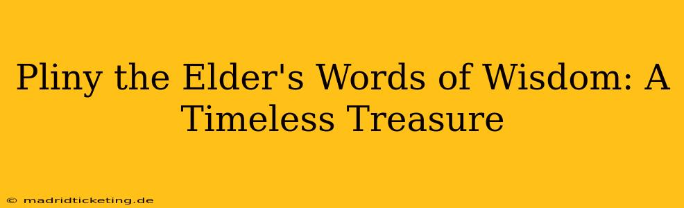 Pliny the Elder's Words of Wisdom: A Timeless Treasure