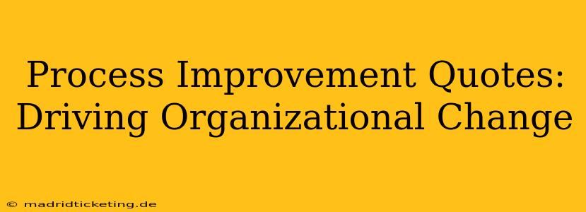Process Improvement Quotes: Driving Organizational Change