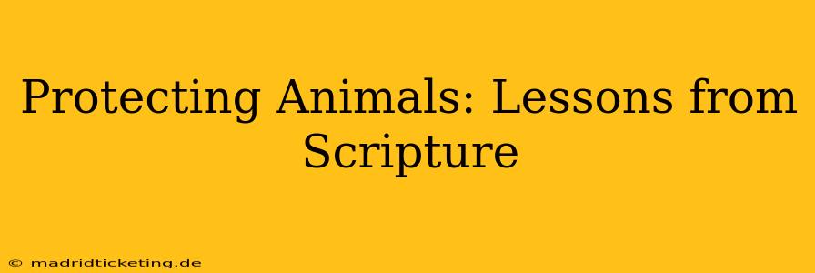 Protecting Animals: Lessons from Scripture