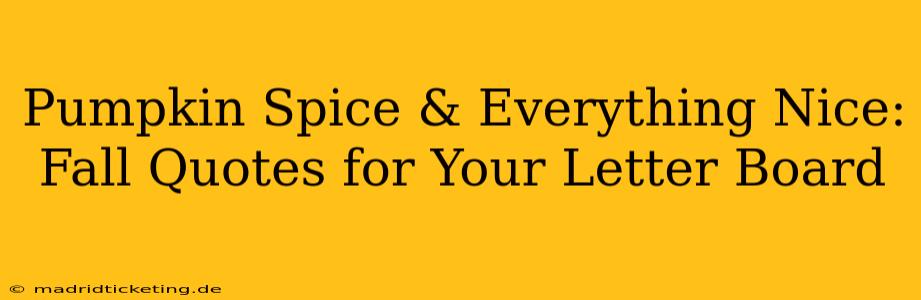 Pumpkin Spice & Everything Nice: Fall Quotes for Your Letter Board