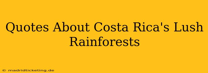 Quotes About Costa Rica's Lush Rainforests