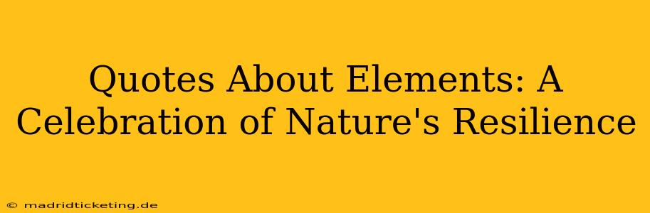 Quotes About Elements: A Celebration of Nature's Resilience
