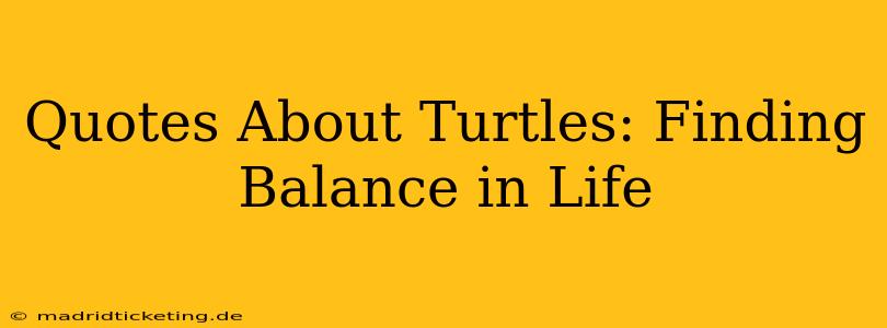 Quotes About Turtles: Finding Balance in Life