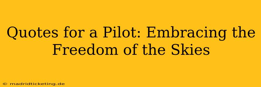 Quotes for a Pilot: Embracing the Freedom of the Skies