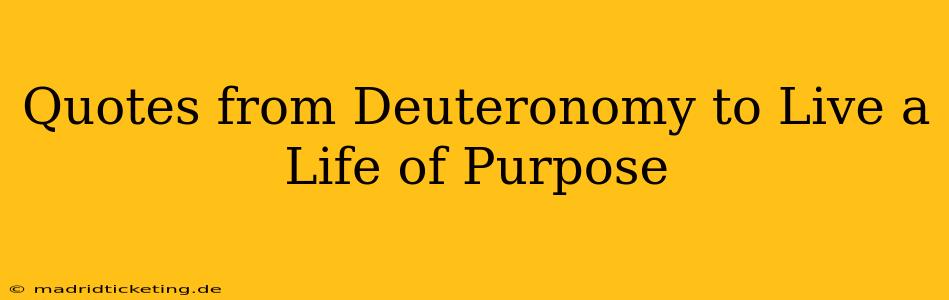 Quotes from Deuteronomy to Live a Life of Purpose