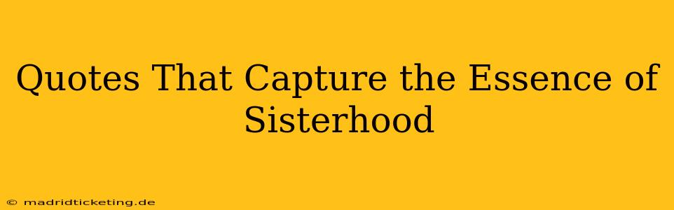 Quotes That Capture the Essence of Sisterhood